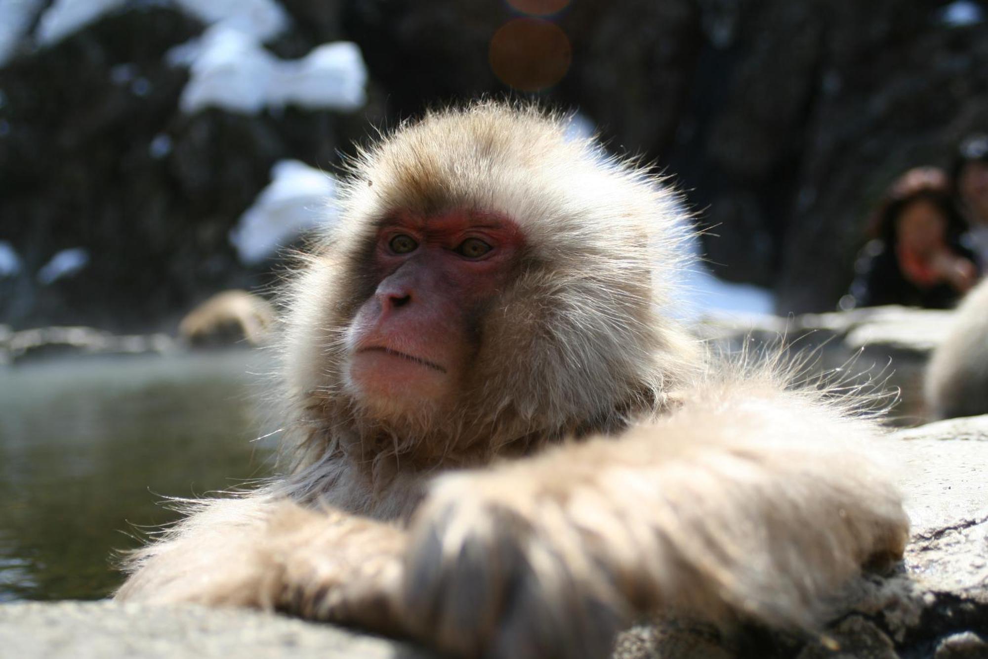 白马村桑塔纳住宿加早餐旅馆 外观 照片